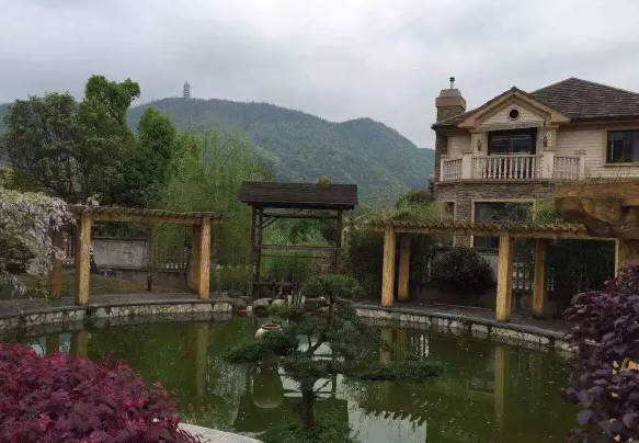 庭院山水说 | 赏心乐事谁家院